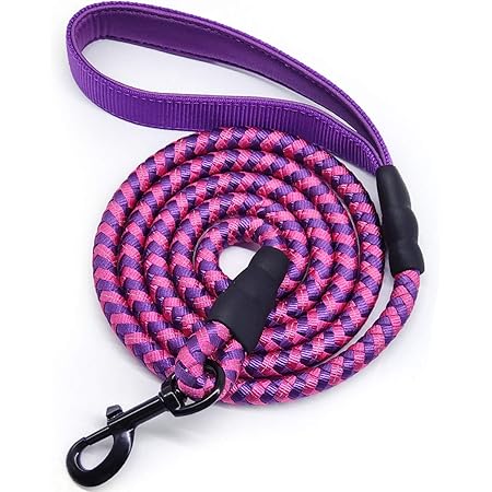 lowes dog leash
