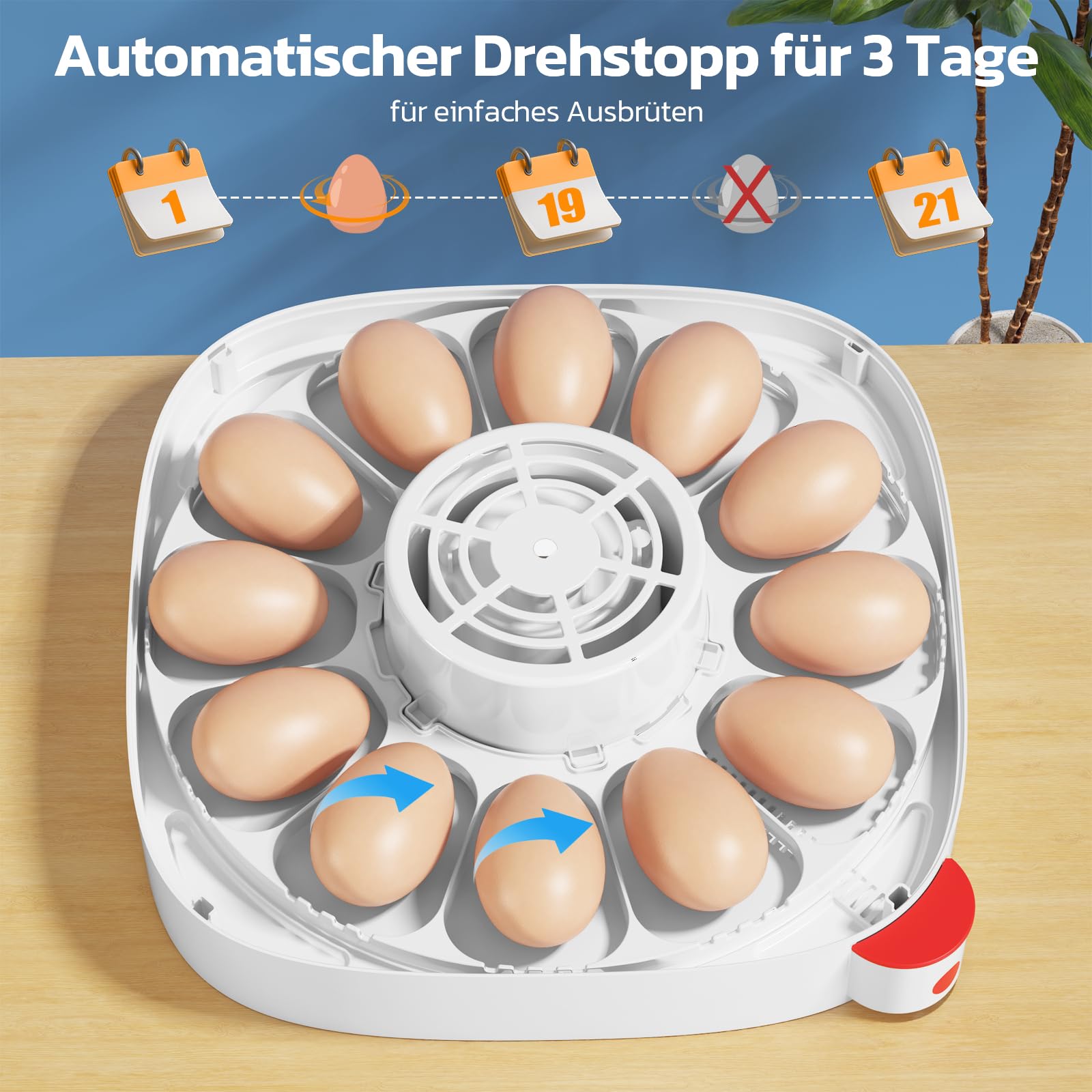 Sailnovo Incubadoras de huevos para incubar, 12 huevos, incubadora para huevos de gallina con 4 modos, visión de 360°, incubadora de huevos con giro automático y control de temperatura, Azul