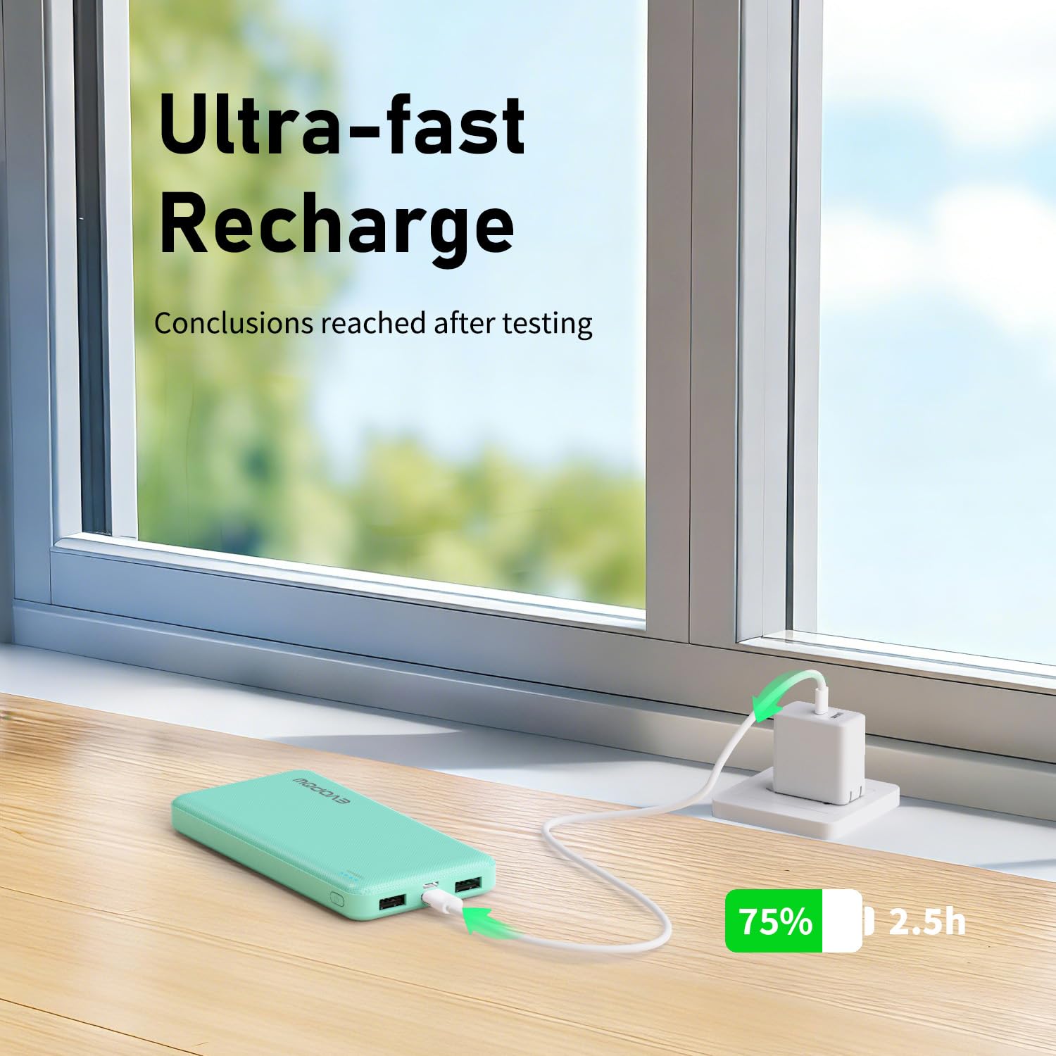 Chargeur portable 10 000 mAh Bleu et vert
