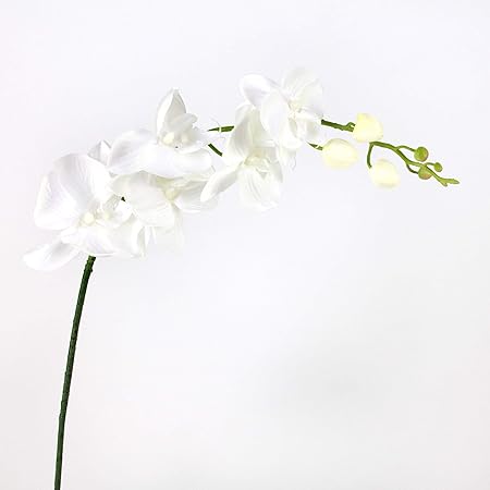 Artplants De Tige D Orchidee Phalaenopsis En Tissu Blanc 90cm Fausse Orchidee Fleur Artificielle Amazon Fr Cuisine Maison