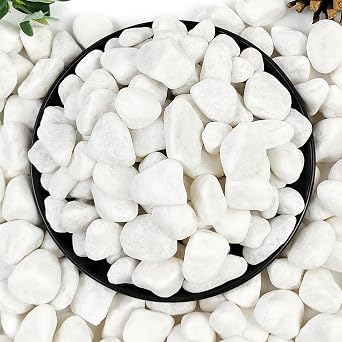 YISZM 10lb White River Rocks, 5/8 Inch Natural Pebbles for Indoor Plants, Snow White Decorative Stones, Ideal for Fish Tank, Vases, Crafting, Home Decor and Garden Landscaping Rocks