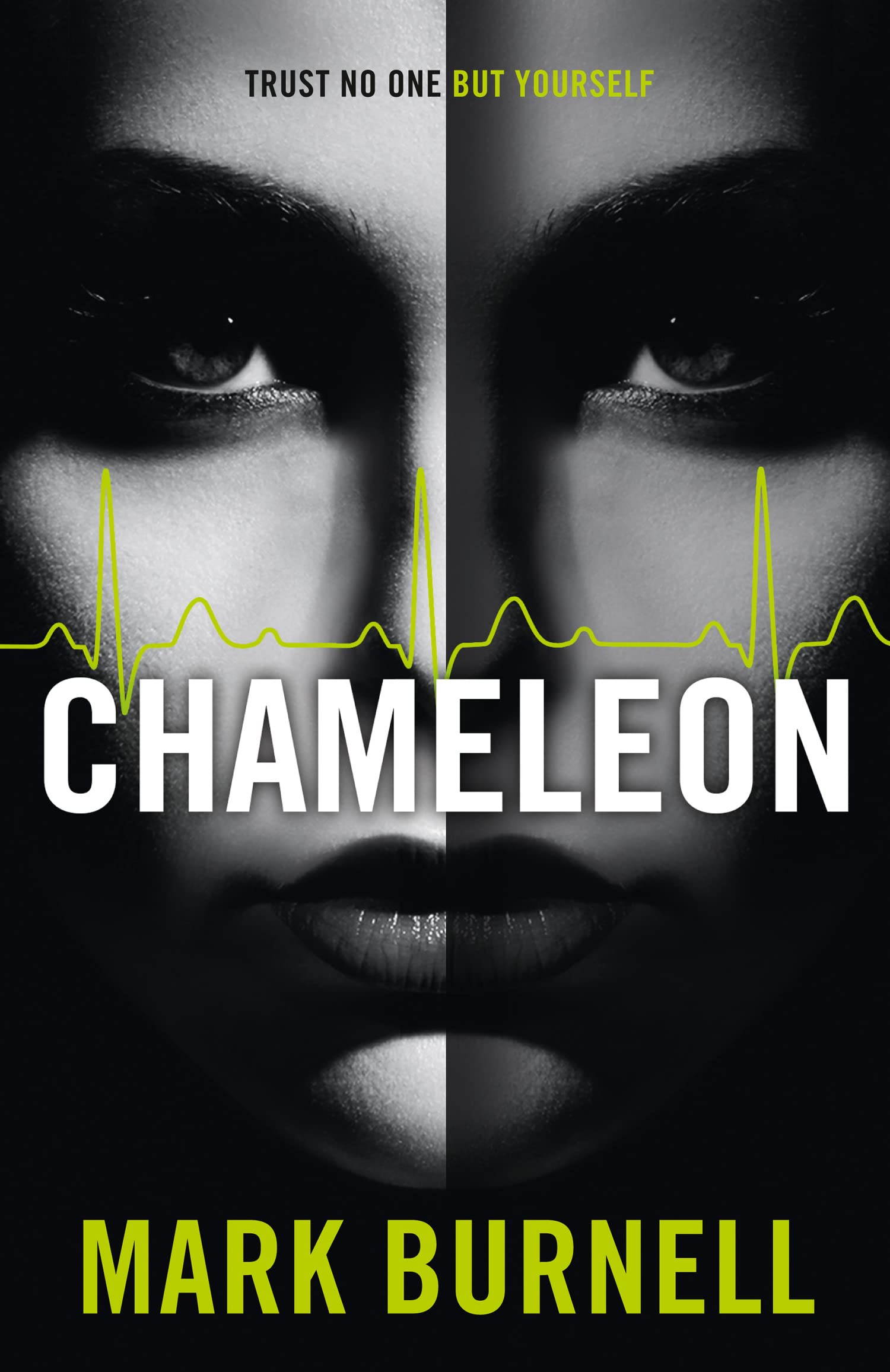 Chameleon: A Gripping Action Thriller of Conspiracy and International Espionage: Book 2 (The Stephanie Fitzpatrick series)