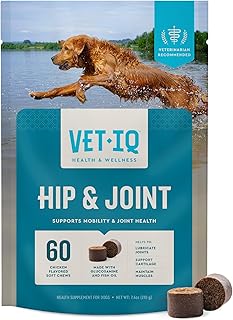 VetIQ Glucosamine Hip & Joint Supplement for Dogs, 60 Soft Chews, Joint Support Supplement with MSM and Krill, Dog Health ...