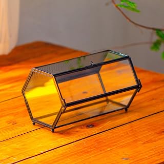 NCYP Mini Glass Enclosure Terrarium with Mesh & Door for Jumping Spiders, Small Insect Habitat - Hexagon Shape Succulents Terrarium 7.87'' x 4.52'' x 3.93'', Indoor Decor, Black (Plants Not Include)