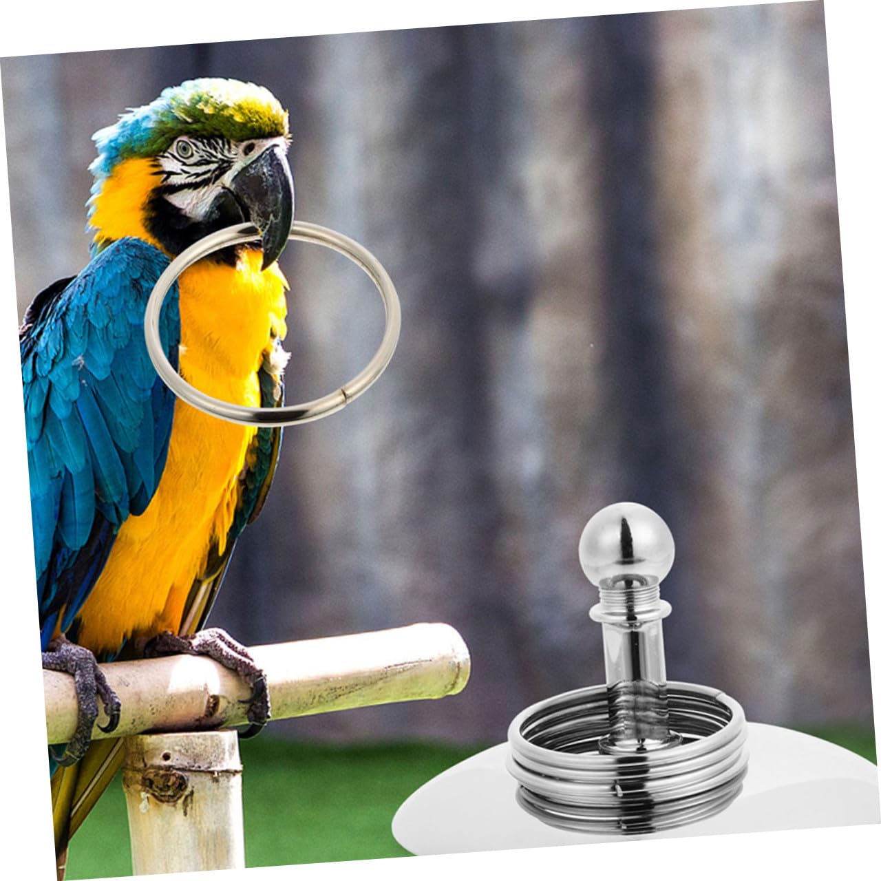 BESPORTBLE 4juegos Juguete De Entrenamiento para Loros Bicicleta y Anillos De Inteligencia Juguete Educativo para Aves Interacción y Actividad Física para Ninfas y Agapornis