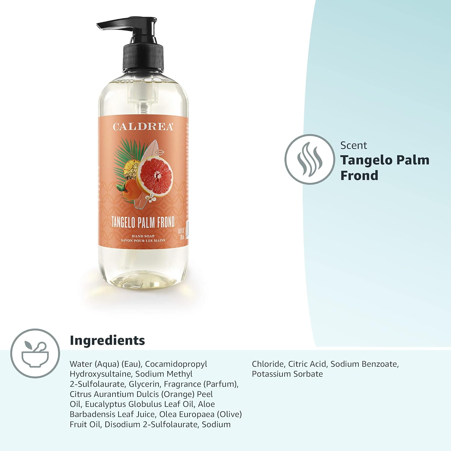 Caldrea Hand Wash Soap, Aloe Vera Gel, Olive Oil and Essential Oils to Cleanse and Condition,Tangelo Palm Frond Scent, 10.8 oz (Packaging May Vary) : Beauty & Personal Care