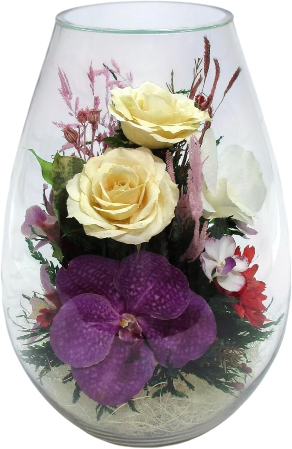 Fiora Flower | Preserved Roses & Floral Arrangement in Sealed Glass Vase | Lasts up to 5 Years | Elegant Gift for Weddings, Birthdays, and Anniversaries (Lush)
