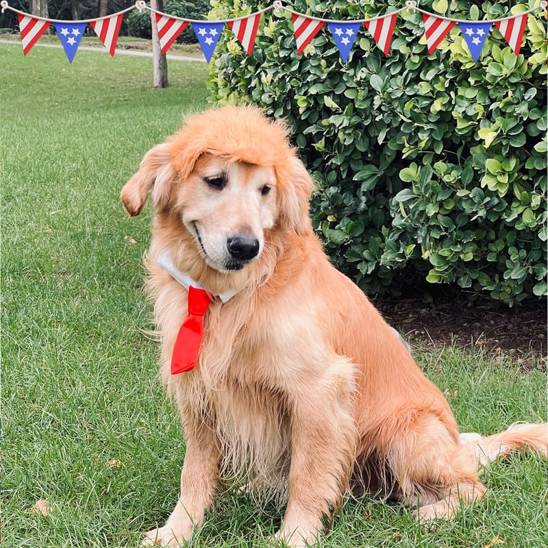 Disfraz para Mascotas Peluca Rubia con Corbata Talla S miniatura 2