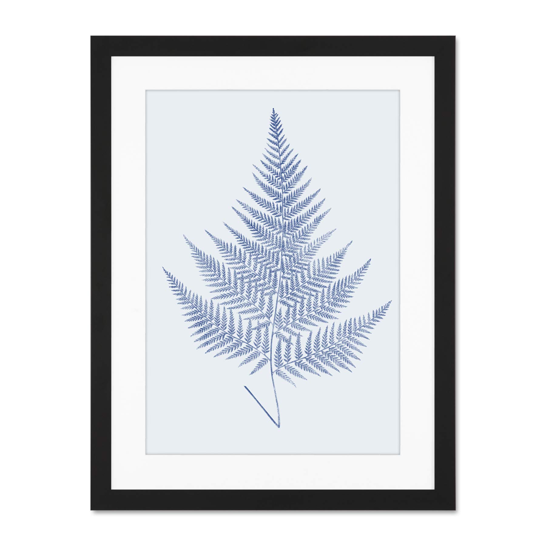 Wee Blue Coo Botanics Cobalt Fern Eppusum Large Black Framed Art Print Wall Poster 18x24 inch