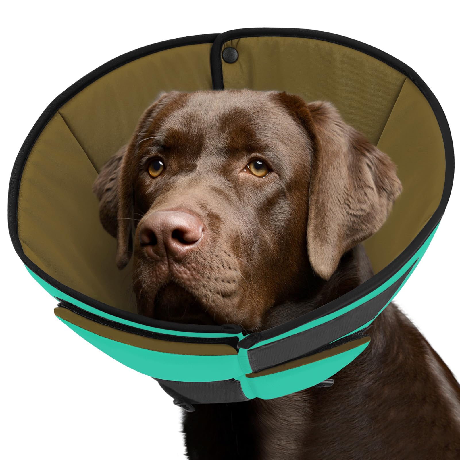 Photo 1 of Queenmore Soft Cone for Dogs After Surgery, Dog Cones for Large Dogs to Stop Licking, Soft Dog Cone, Elizabethan Collar for Pets, Alternative Pet Recovery Collar for Wound Healing, Green L