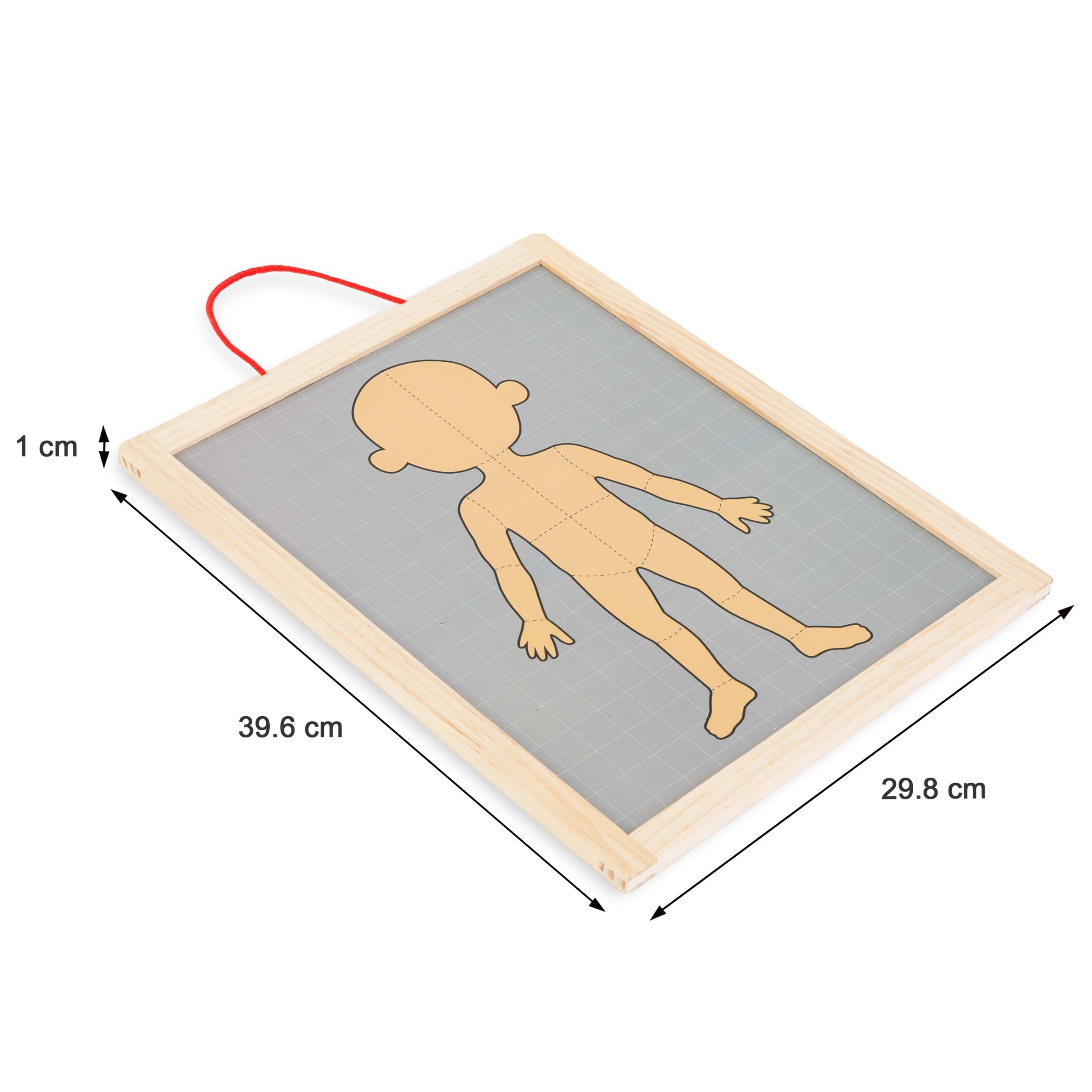 Mamabrum, Puzzle Magnétique - Apprentissage de l'Anatomie - Corps Humain, Grand Tableau Magnétique, 2 Cartes Double Face, 1 Index, Enseigne la Structure du Corps, Puzzle Anatomique pour Enfants