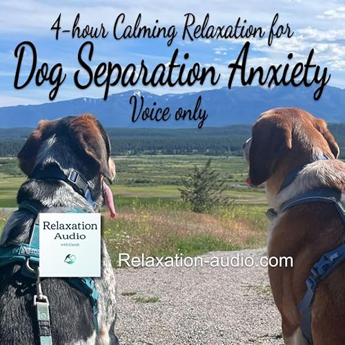 4-hour Calming Relaxation for Dog Separation Anxiety (voice only) Podcast Por  arte de portada