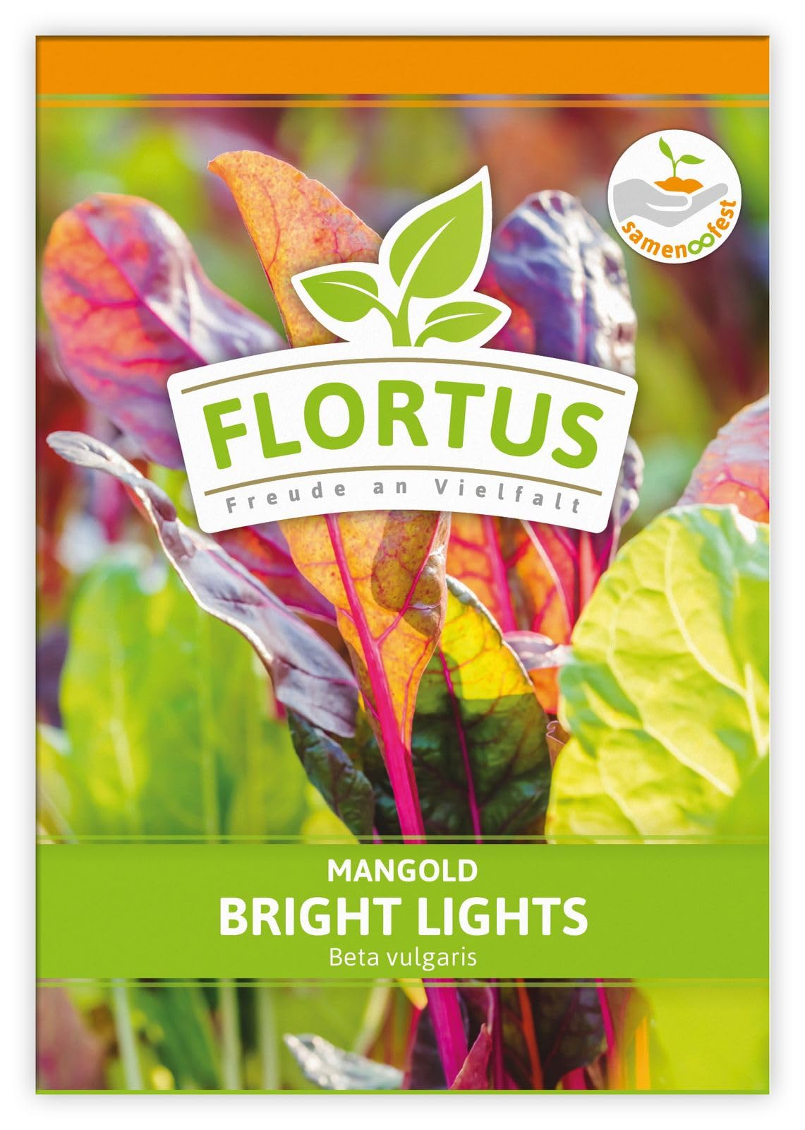 FLORTUS 2000-0482-100x Mangold Bright Lights (100 Stück) (Mangoldsamen)