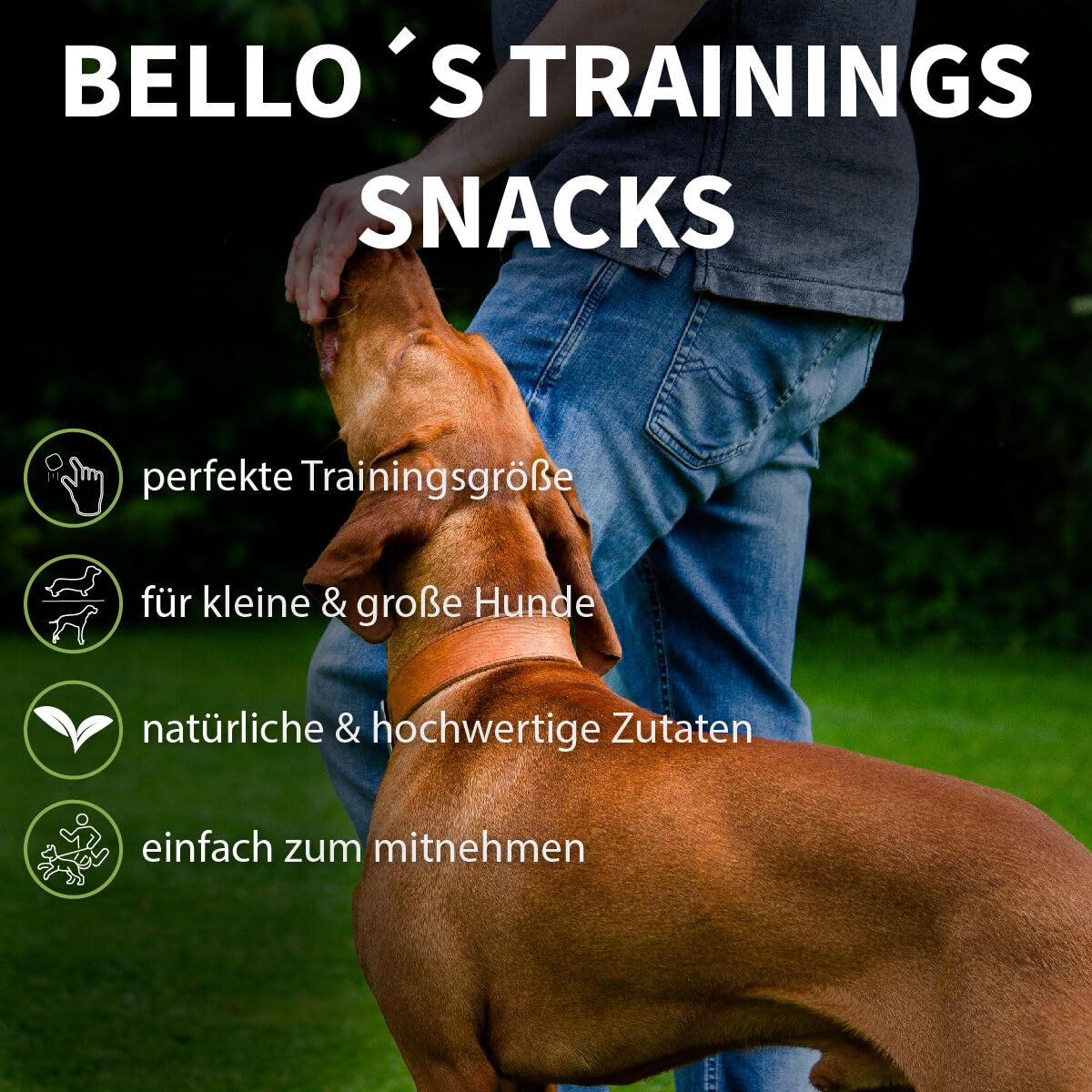 Bello & Friends Klopsy Mini Vegan – Getreidefreie Hundesnacks, 3x125 G, Für Training & Belohnung