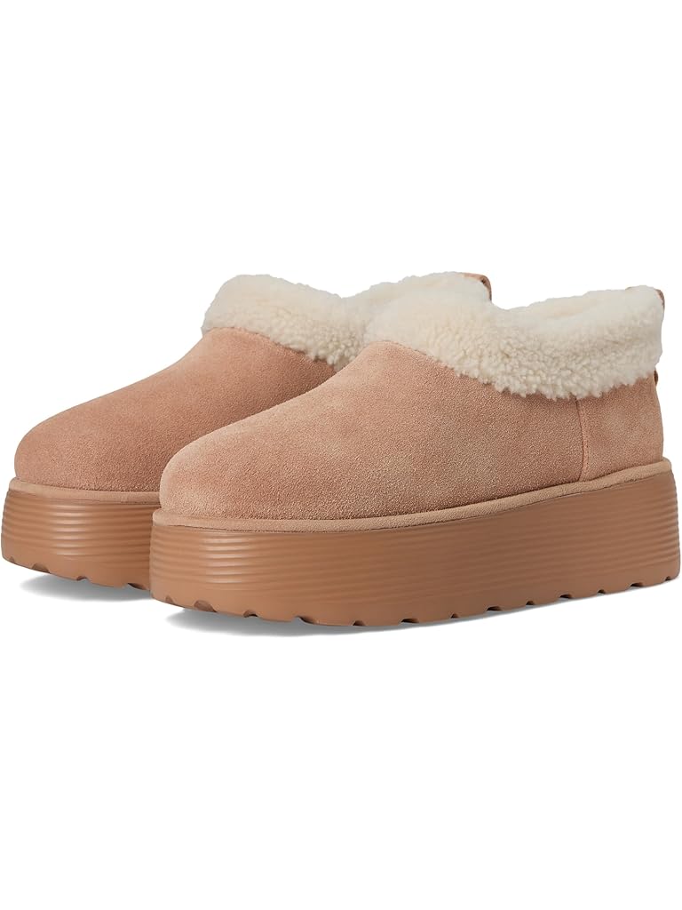 Beige Stuart Weitzman Socharming Shearling Flatform Clogs