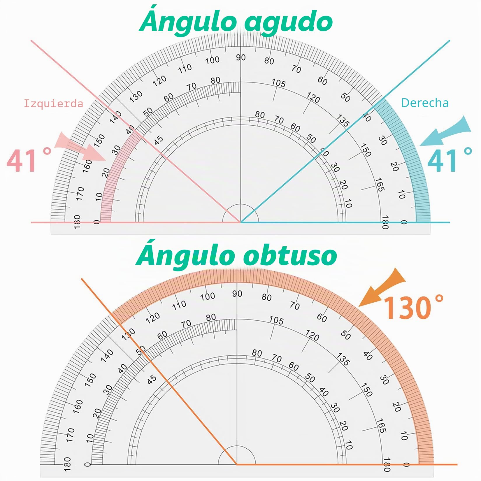 Akuoly Geometría Compases Matemáticas para estudiantes con transportador en estuche de transporte