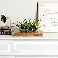 Vista 4 de MyGift - Grandes plantas artificiales de césped verde en maceta de 14 pulgadas en caja de madera maciza de acacia premium rectangular, centro