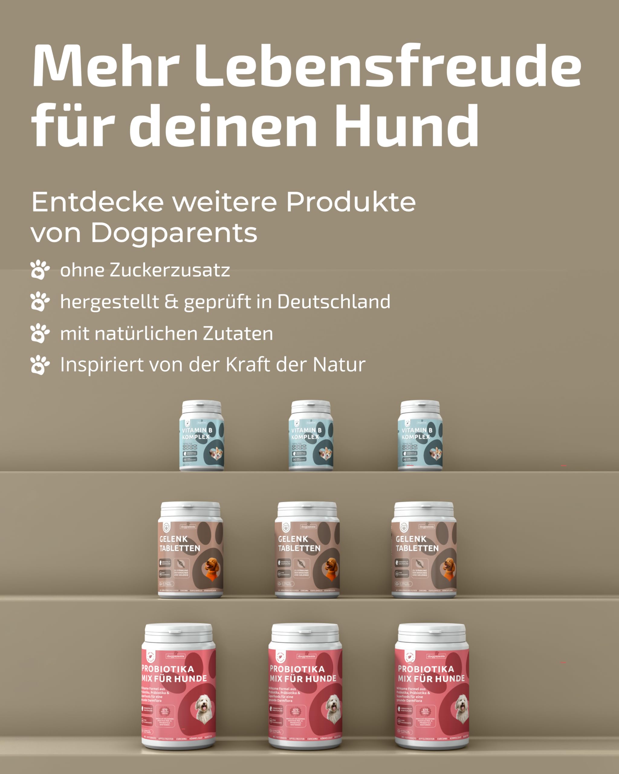 Gelenktabletten Hund [MADE IN GERMANY, ZUCKERFREI & LABORGEPRÜFT] Hochwirksame Formel mit Grünlippmuschel, MSM, Glucosamin, Curcuma, Granatapfel & Teufelskralle für Knochen & Gelenke (150g (1er Pack))