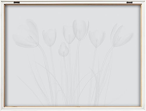 Miniatura 6 de Kate and Laurel Blake Crocus X Ray Floral BW - Arte de pared de vidrio impreso por The Creative Bunch Studio, 18 x 24 pulgadas, natural, impresión