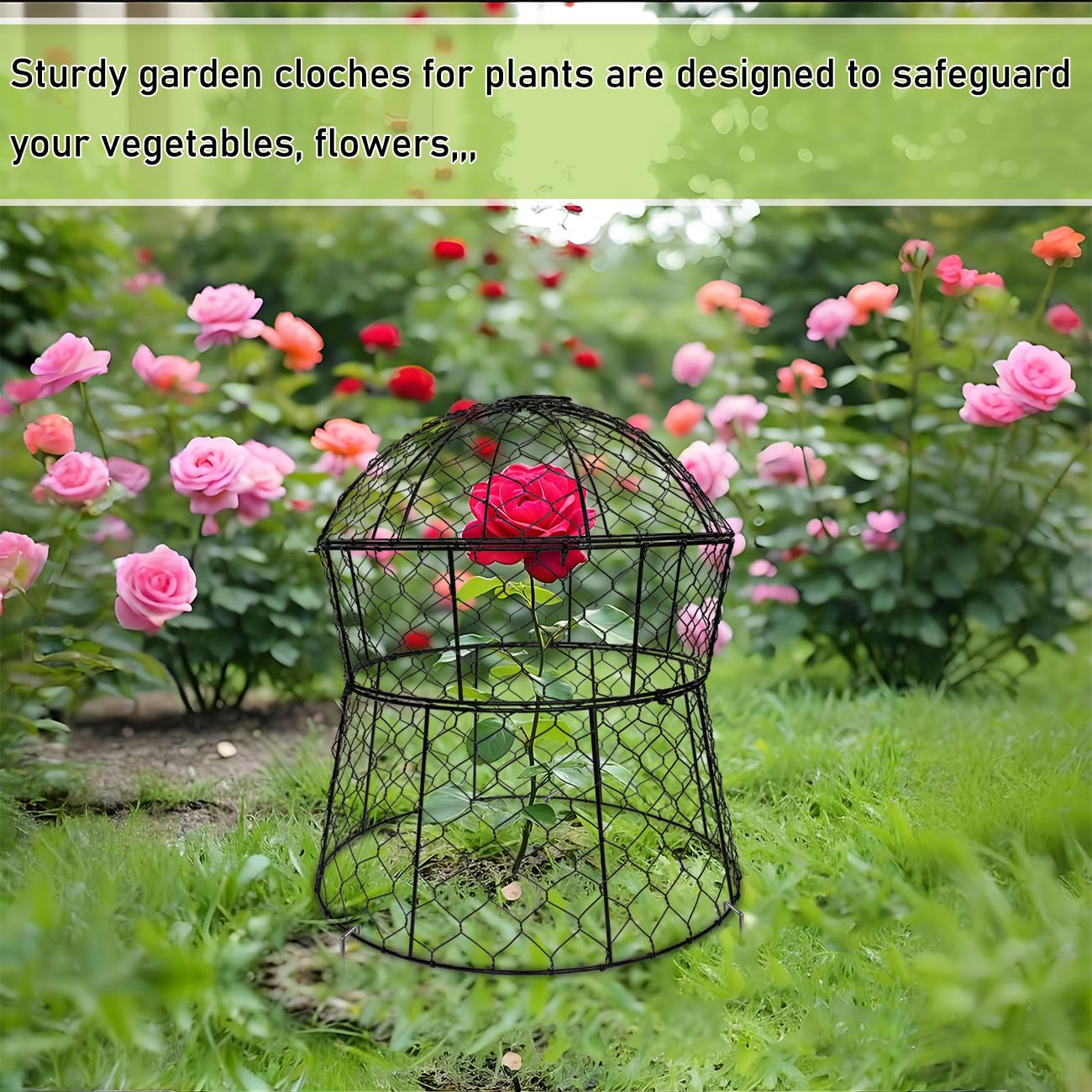 Lot de 2 cloches de jardin en métal pour plantes contre les animaux, cloches en fil de poulet, cages à plantes mises à jour pour plantes d'extérieur, légumes, semis, 33 x 35,6 cm