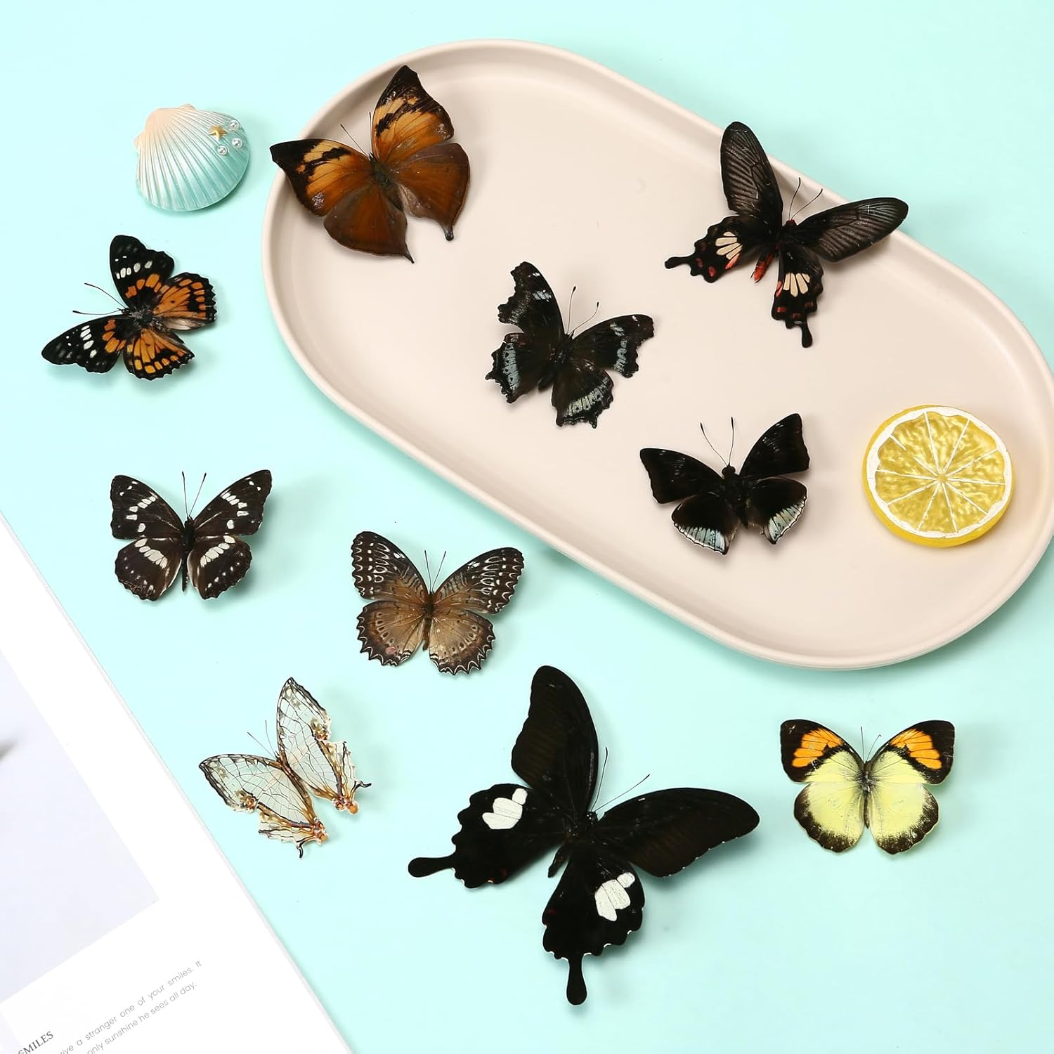 10 Pcs Real Butterfly Specimen Taxidermy Butterfly DIY Creative Production, Taxidermy Animals for Framed Butterfly Shadow (Random)