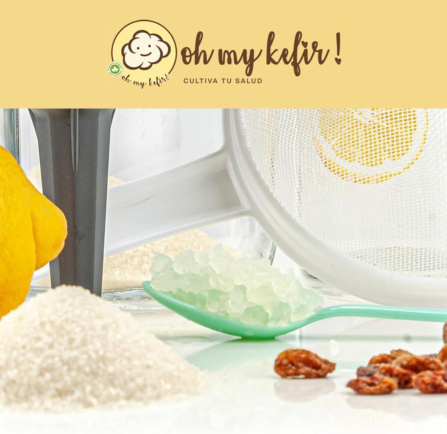 100g Hongo/Nódulos Frescos de Kéfir de Agua + Instrucciones + Recetas + Ayuda y Asesoramiento en español - OH MY KÉFIR®