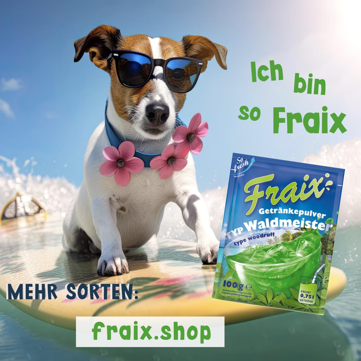 FRAIX Bebidas en polvo Waldmeister, paquete de 150 unidades (150 x 100 g), polvo refrescante instantáneo con sabor floral, polvo de fruta perfecto para pícnic, fiesta de cumpleaños