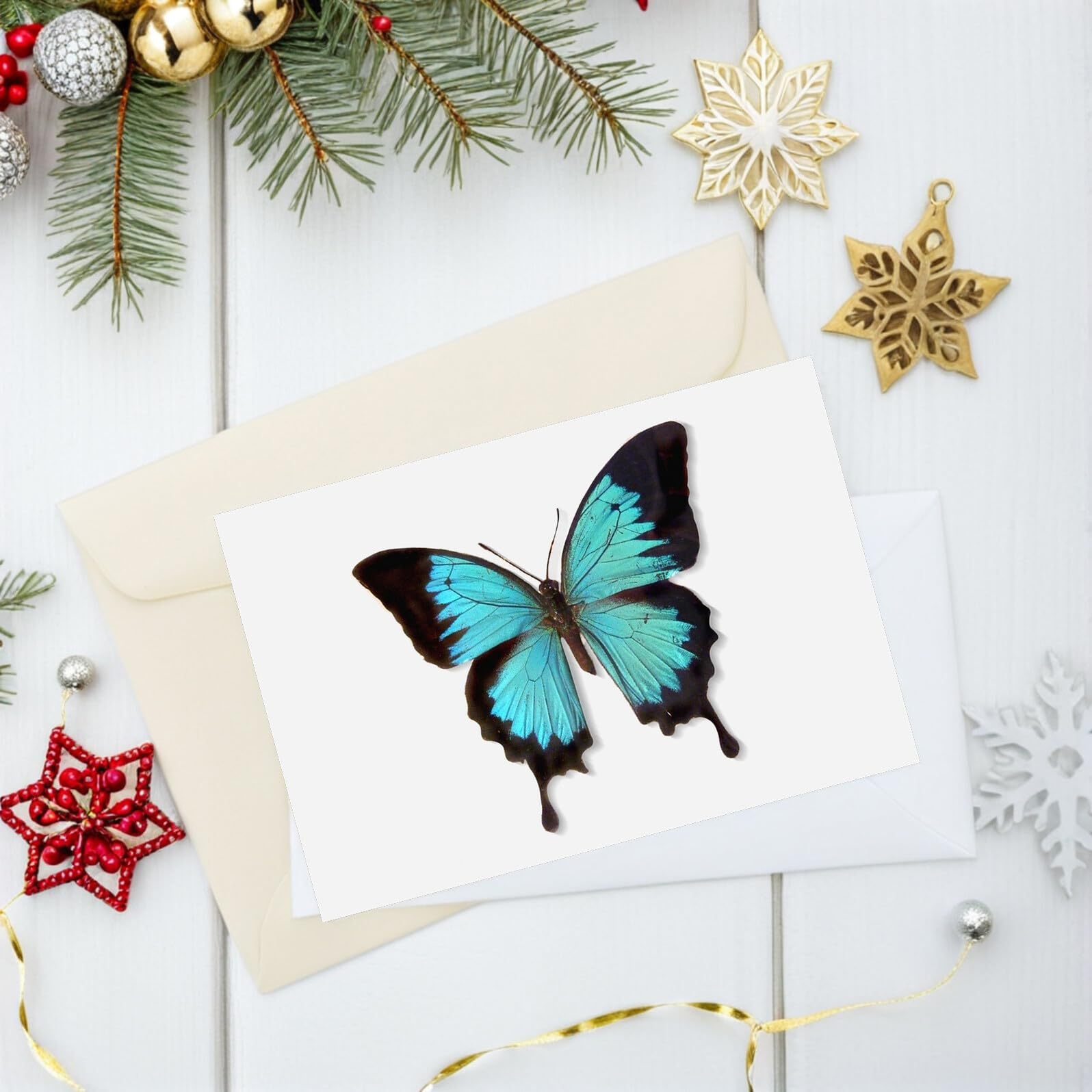EVA Nadel pinboard Weiß Weiches Stabiles Insekten pinning Pad Schmetterlingspositionierbrett für Sammlungen Schützendes Display tool für Schmetterlinge und Insekten