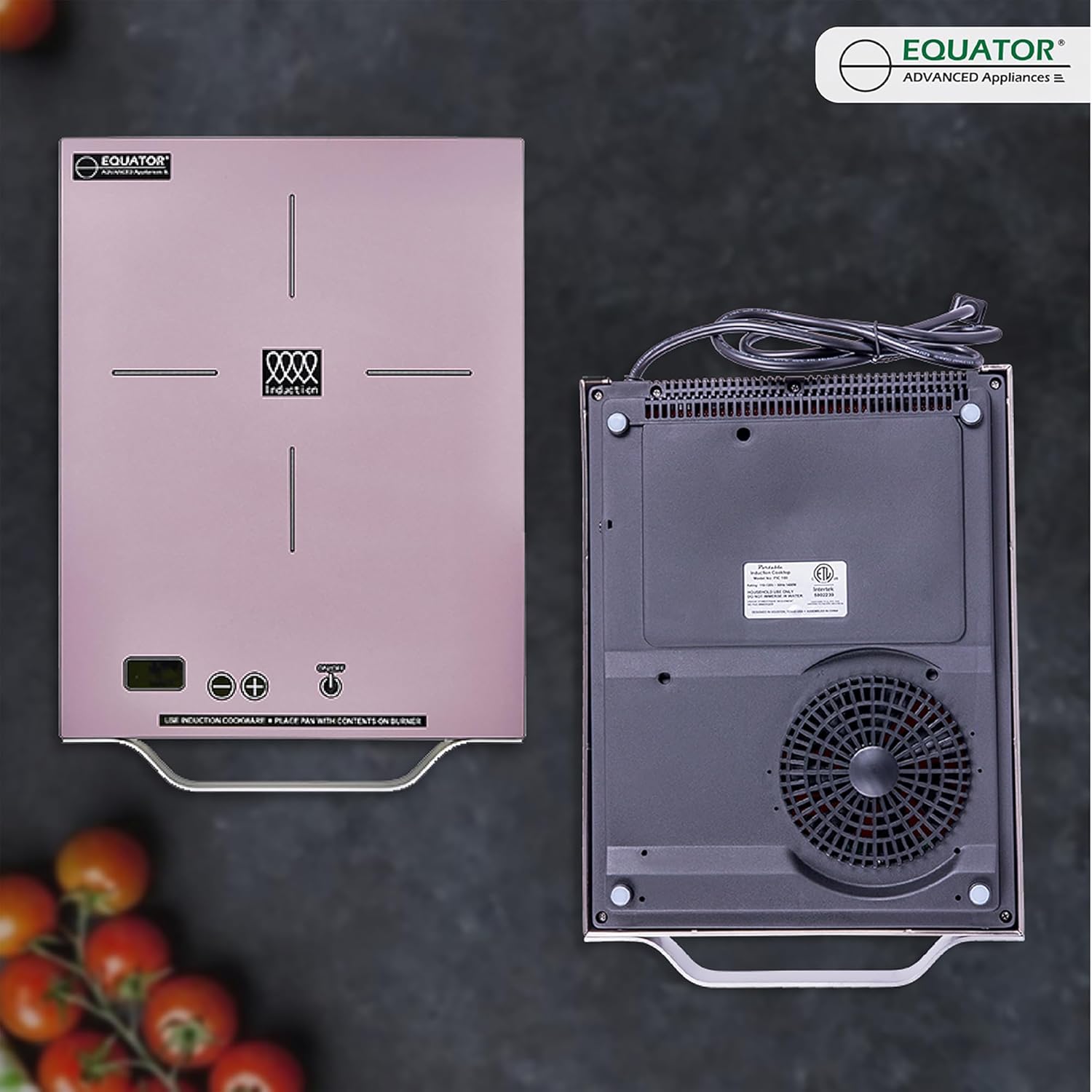 Equator 11" Portable One-Burner Induction Cooktop LIGHT AlumInum Handle 110V