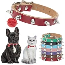BINGPET Spiked Cat Collar Breakaway, Leather Studded Dog Collar with Bell
