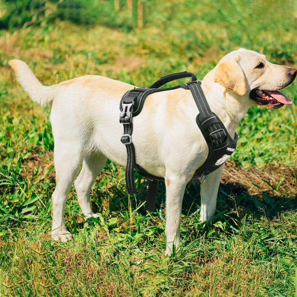 Pawtrender No Pull Dog Harness with Handle Reflective Adjustable Dog Vest Harness with Soft Padded Mesh for Small Medium Large Dogs