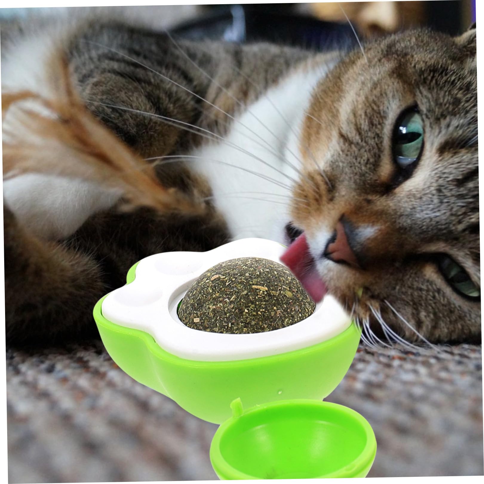 BESPORTBLE 10 Ensembles Cataire aux de Pattes Chaton Jouet Herbe à Chat Jouets pour Animaux de Compagnie Jouet à lécher pour Chat Interactive Cat Toy Chat Jouet Plastique