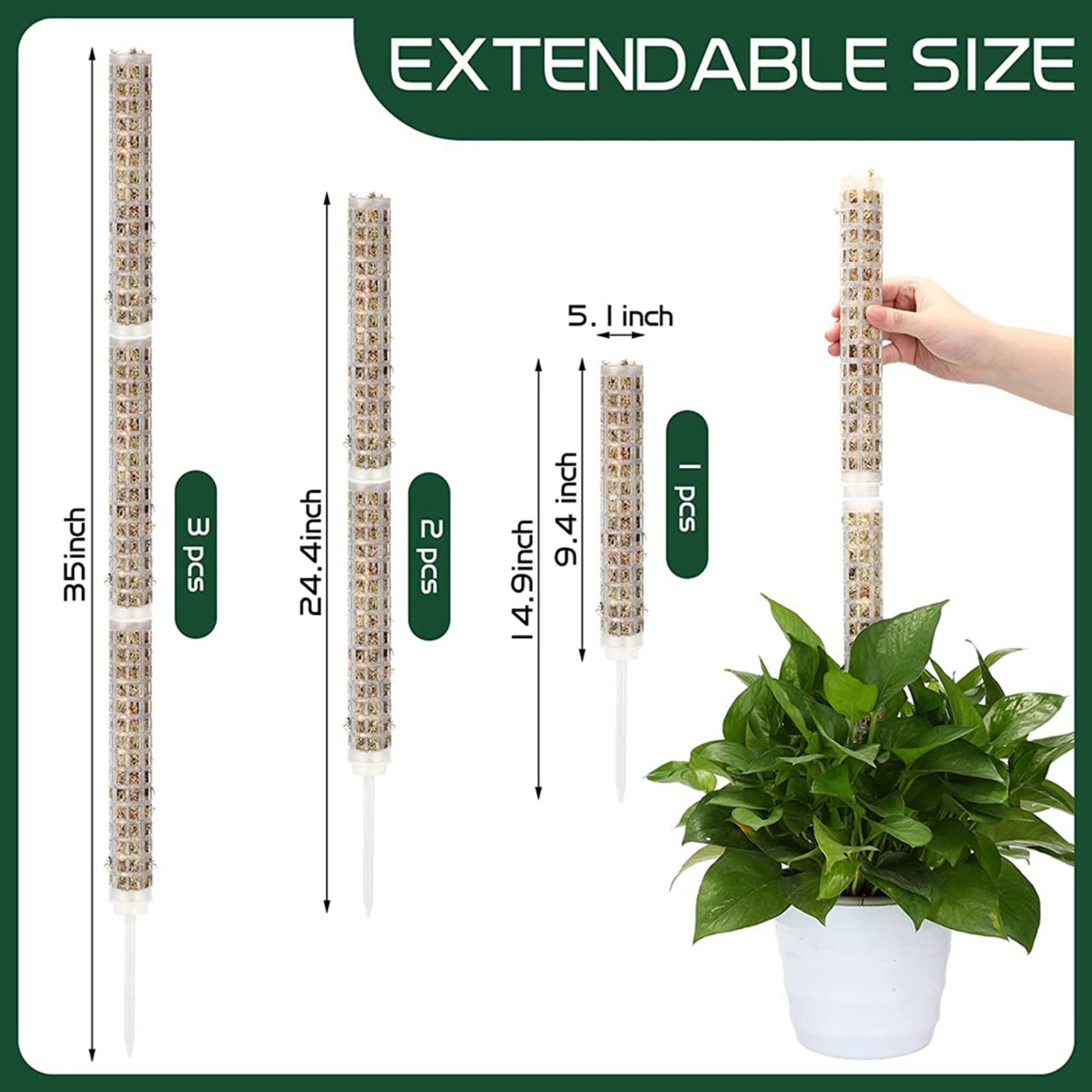 Lot de 24 piquets en fibre de empilables pour plantes Monstera - Support en plastique pour sphaigne