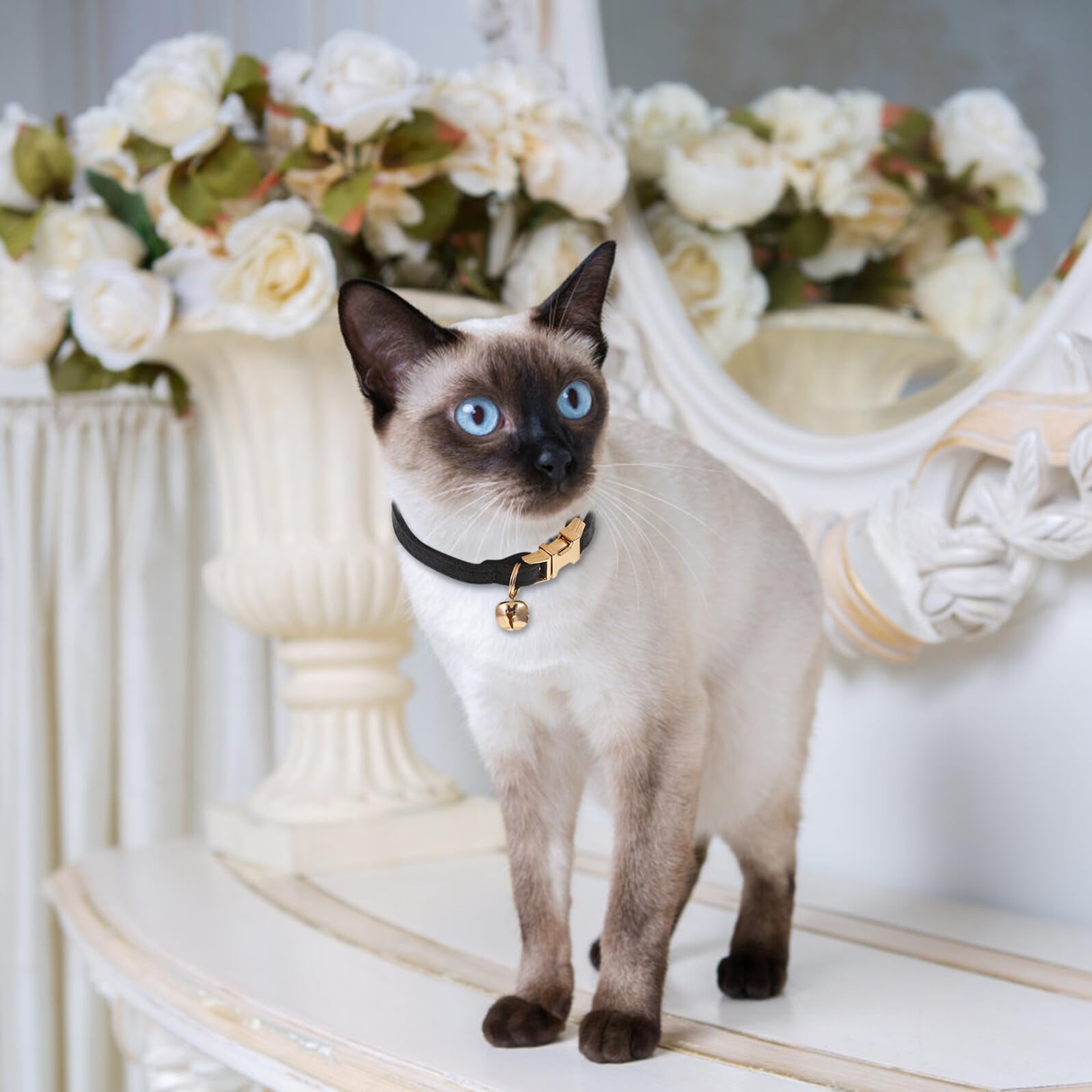 Collier pour Chat Femelle Velours Doux avec Clochette Collier Ajustable Élégant avec Boucle Dorée Confortable et Luxueux pour Chatons et Petits Chats Accessoire Raffiné pour