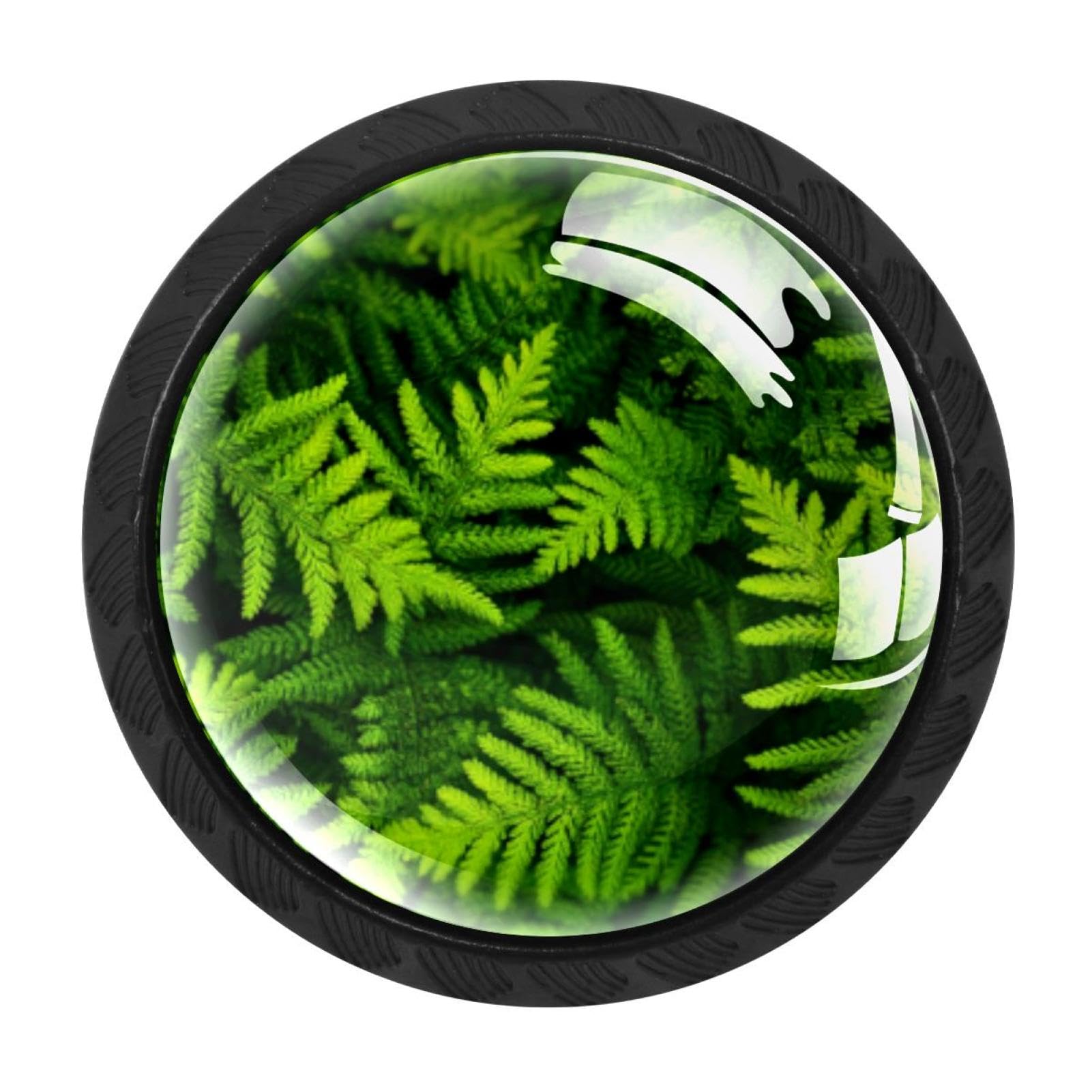 CHENZZZZ 4 Pack Black Ferns Background (1) Kitchen Handles, Cabinet Pulls Hardware for Cupboard Drawer Knobs Dresser Pulls