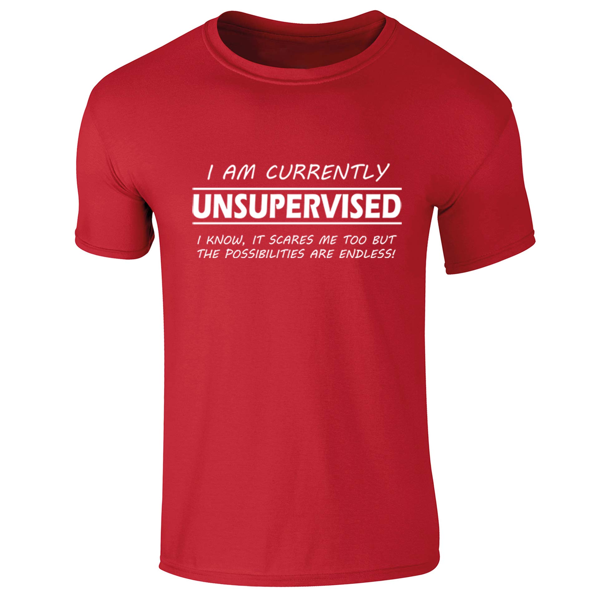 Flip I'm Currently Unsupervised Funny Slogan Womens T-Shirt Red UK 14-16 (XXL)