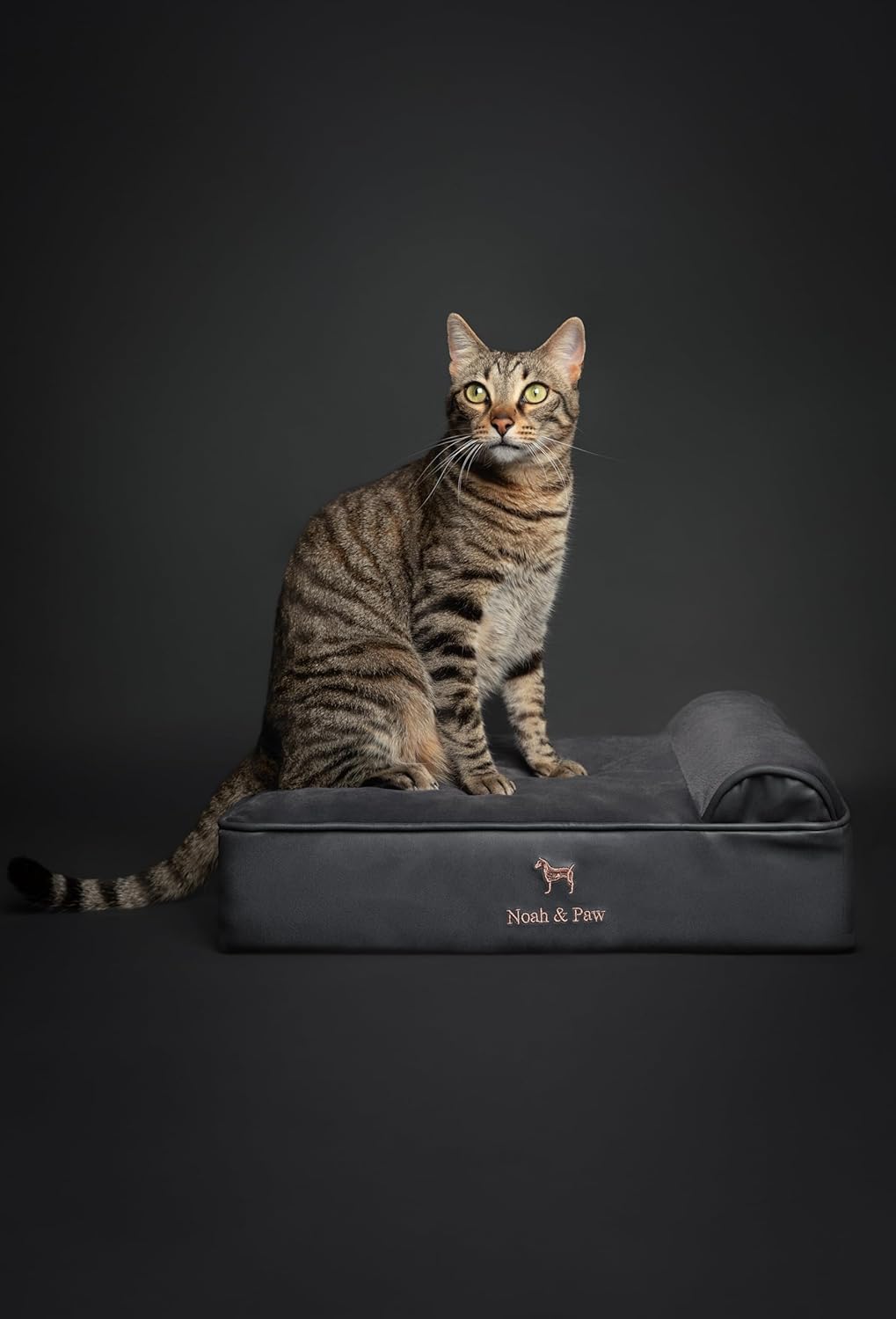 The Ultimate Comfort: NOAH & PAW Orthopedic Dog and Cat Bed Review