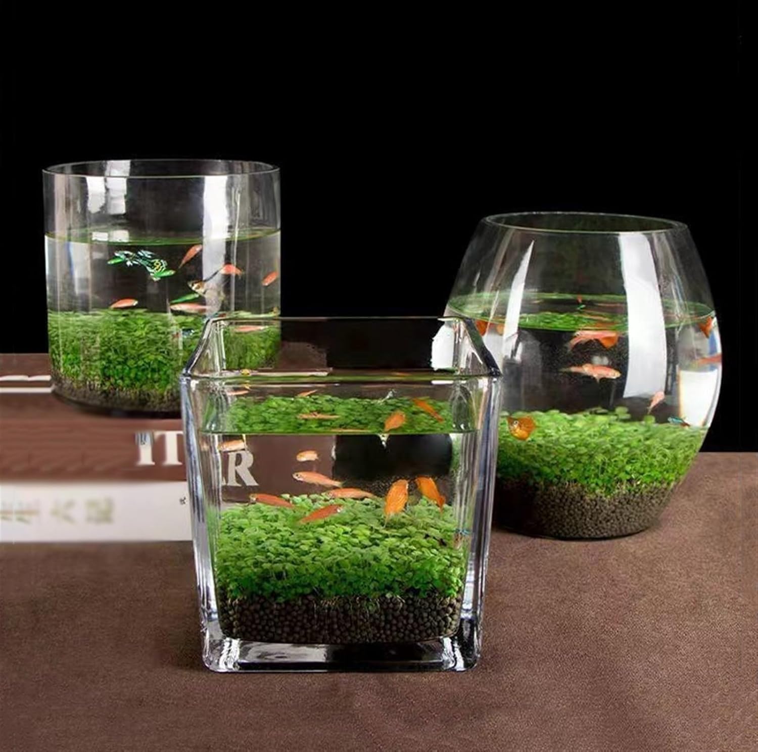 Decor Fish Tank Thickened Glass Transparent Fish Tank Water Plant Seeds Micro Landscape Ornaments Home Desktop Water Plant Mud Ecological Tank Starter(Medium)
