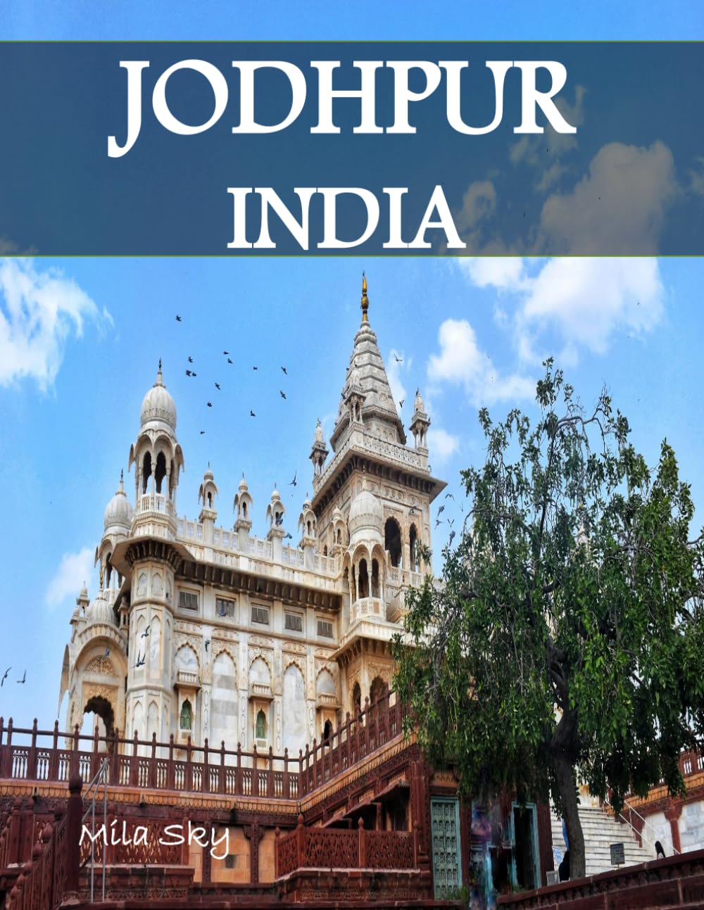 JODHPUR INDIA: A Luxury Coffee Table Book of Iconic Landmarks