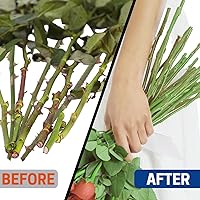 Vista 6 de Herramienta peladora de espinas de rosas, herramienta peladora de espinas de hoja de metal, herramienta peladora de rosas, alicates para quitar