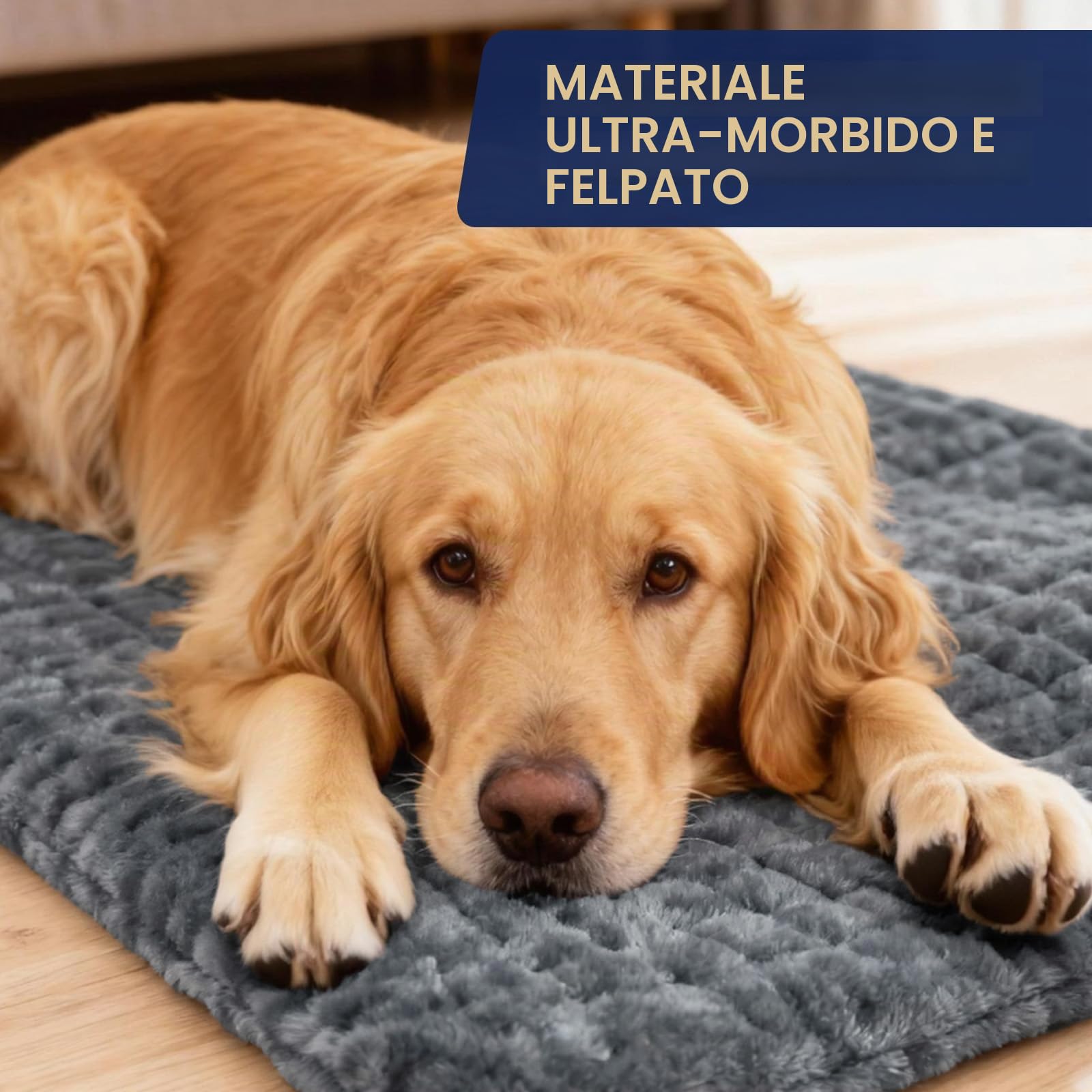 Termoforo Elettrico – per Addome, Schiena, Spalle, 9 Livelli Di Temperatura, 4 Timer, Spegnimento Automatico, Cuscino Riscaldante Lavabile in Lavatrice Termoforo, Regalo di Natale– Grigio (60x30 cm)
