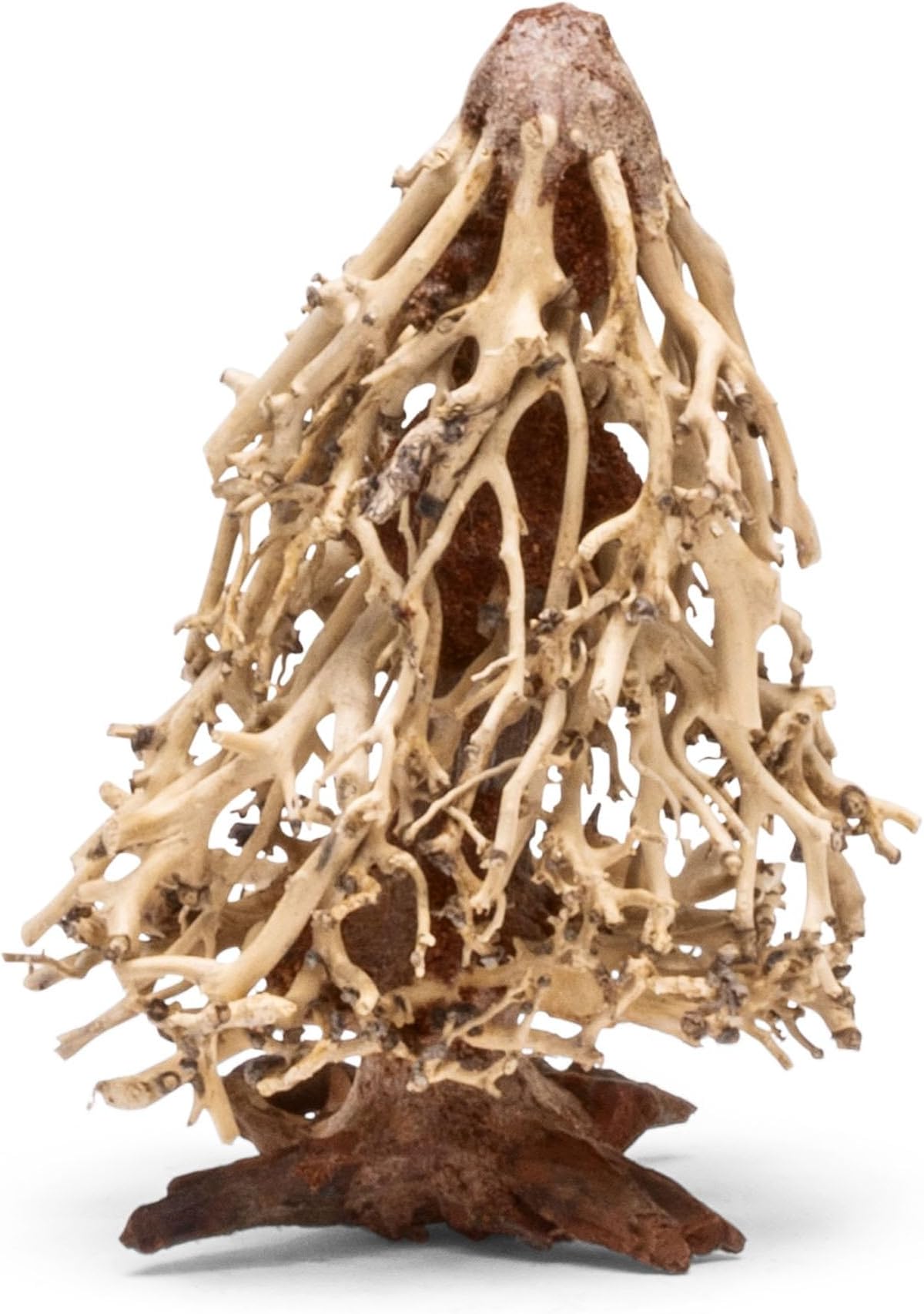 Ultum Nature Systems Bonsai - Handcrafted Hardscape Driftwood for Aquarium, Terrarium, Vivarium, Natural Aquascape Hardscape Decorations, Aquascaping Hardscape for Live Aquatic Plants - 009, Large