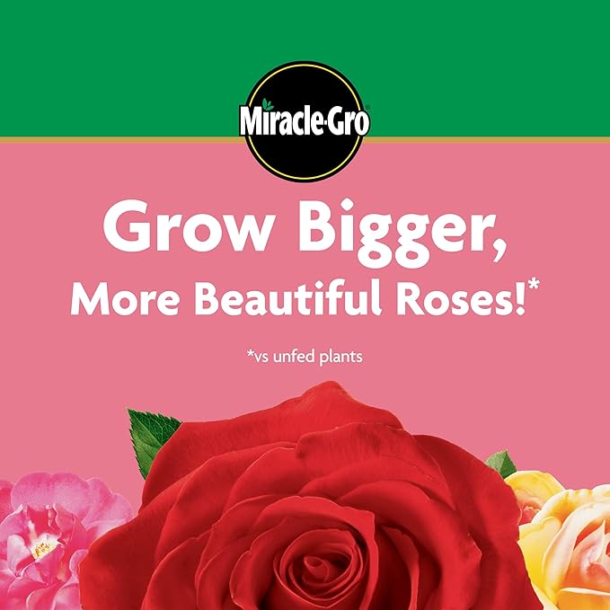 Miracle-Gro Alimento para Rosas Soluble en Agua, 1.5 lb miniatura 6