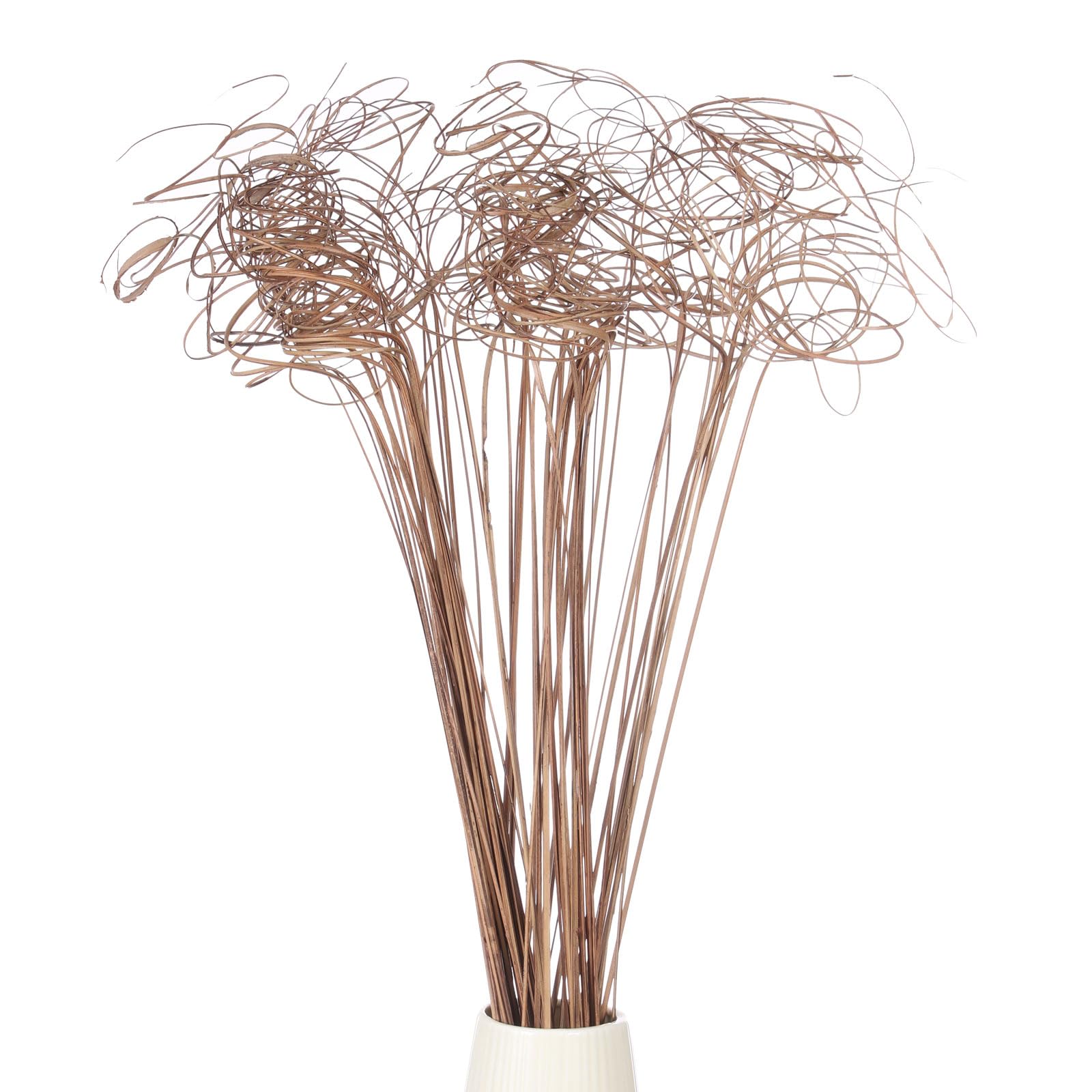 PATIKIL Ramo Arricciato, 60 Pz Rami di Salice Naturali Essiccati Rametti Alberi di Natale Ornamenti per Casa Cucina Matrimonio Fai da Te Artigianato Ghirlande Vasi Decor Regalo, Legno