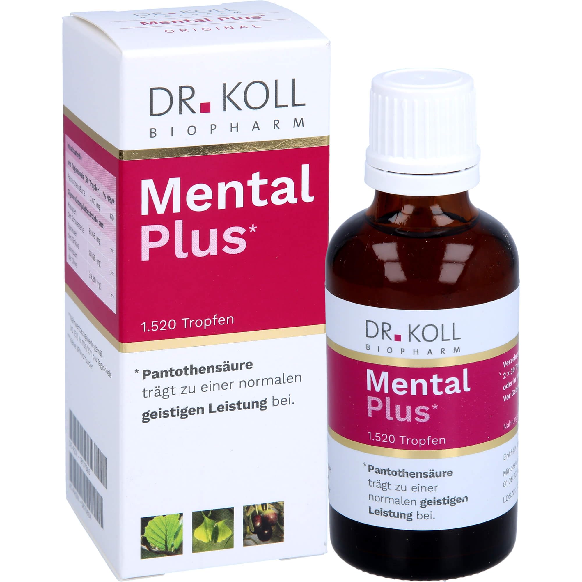 Dr. Koll Mental Plus Tropfen tragen zu einer normalen geistigen Leistung bei, 50 ml Tropfen