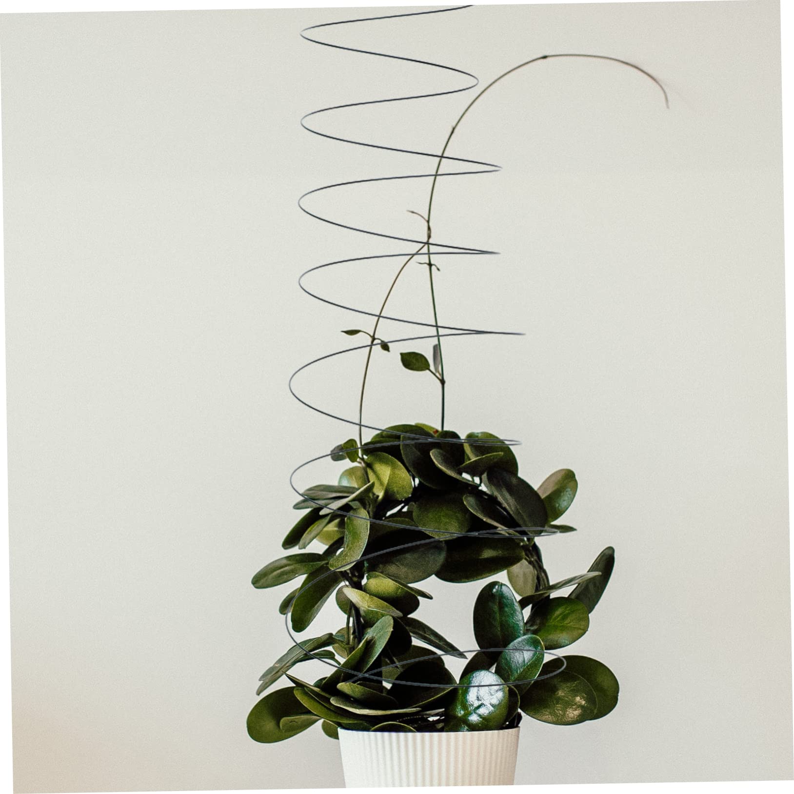 Support pour Plantes Grimpantes Spirale 2 Pièces en Acier Inoxydable Vert
