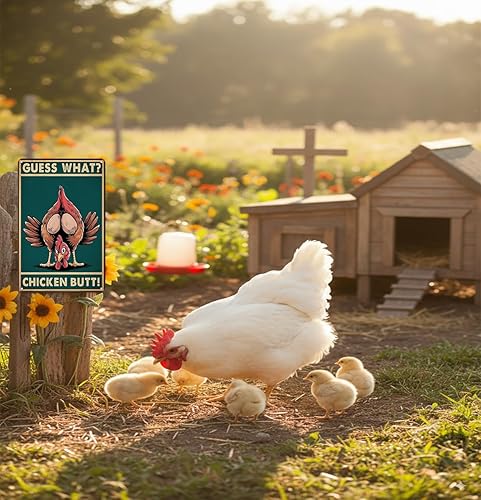Miniatura 4 de Letrero divertido de pollo con texto en inglés Guess What (Guess What) para el hogar, granja, gallinero, cocina, jardín, patio, decoración de 8 x 12