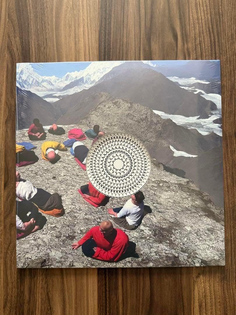 HYUKOH 落日飛車 AAA アナログ レコード LP Vinyl ヒョゴ 輸入盤