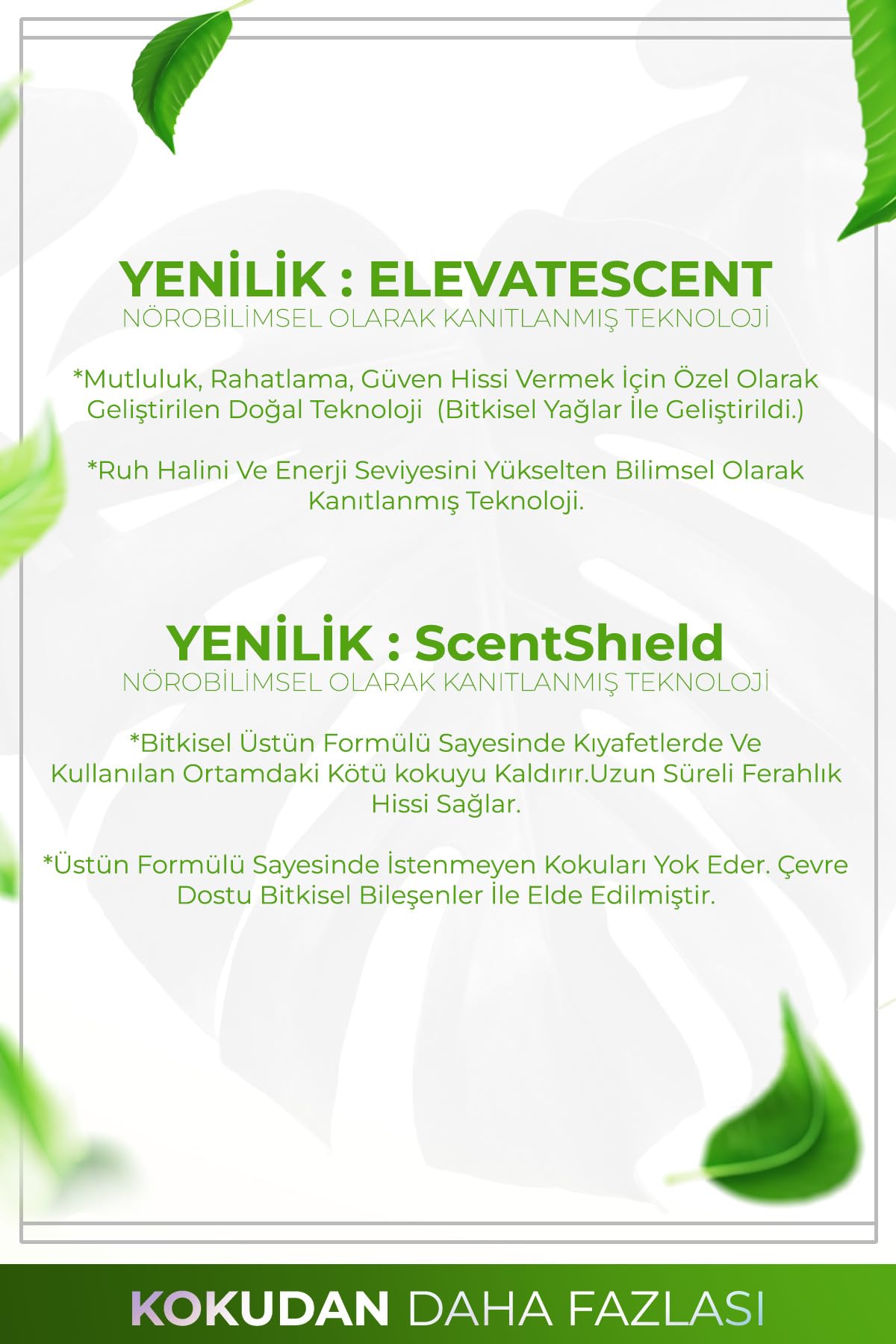 AURAN Çam Esansiyel Uçucu Koku Yağı Ortam Kokusu Doğal Yağ Sihirli Küre Hobi Esansı 10ml