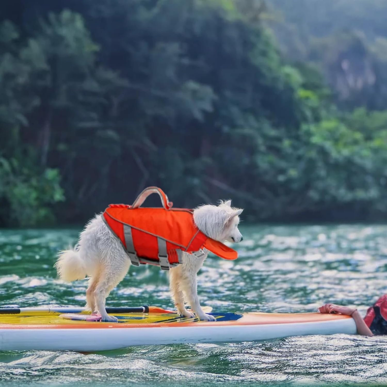 Dog Life Jacket Colorblock, High Buoyancy Safety Adjustable Preserver for Small Medium Large Dogs, Rescue Vest for Outdoor Sports Swimming & Boating (Red,Large)